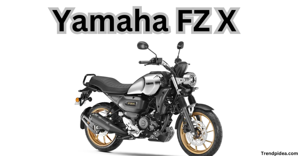 Yamaha FZ X Best Feature,Price ,Specification and More Details 04